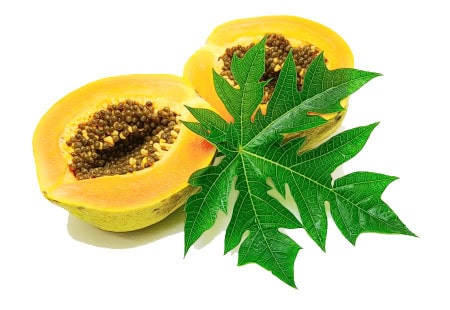 Kisspng Papaya Leaf Health Dietary Supplement Hair Loss 5Cff648A689667.9438685915602412904284