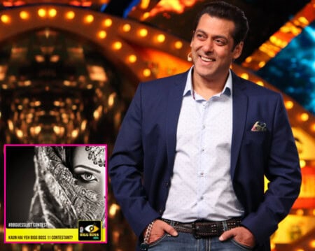 Salman Khan | Big Boss | Colors | Telewood | Entertainment