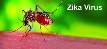 Zika Vrius