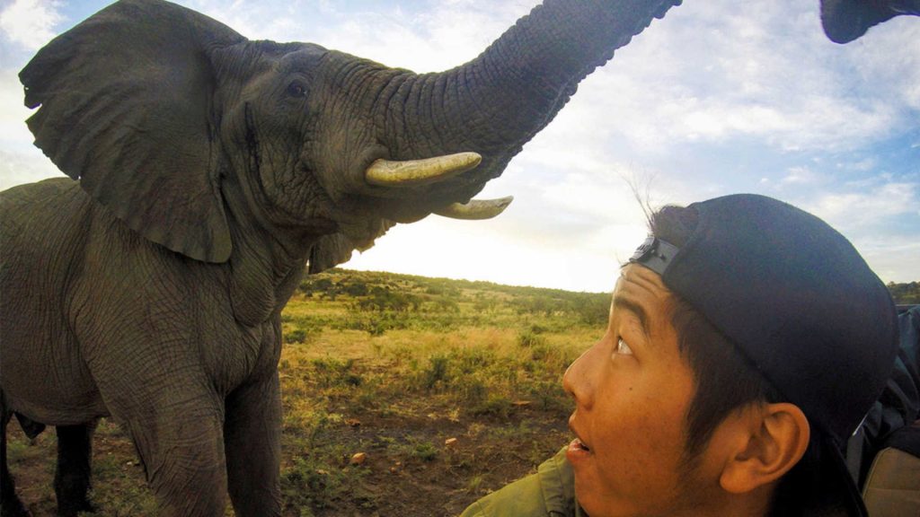 Selfie With Elephant