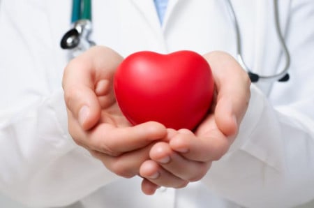 Doctor Holding A Heart