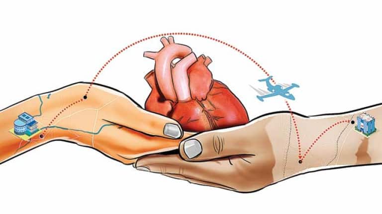 Do You Know About The Journey After Heart Transplantation