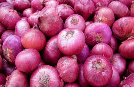 Onion Sandesh