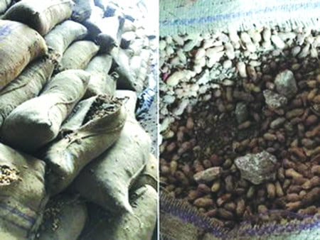 Groundnut-Scam-Again-Slams-Clay-And-Stone-Emerge-From-The-Fold-In-Gandhidham