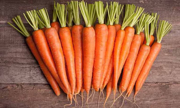 Daily-Consumption-Of-Carrots-In-The-Diet-Is-Complete-These-Super-Advantages