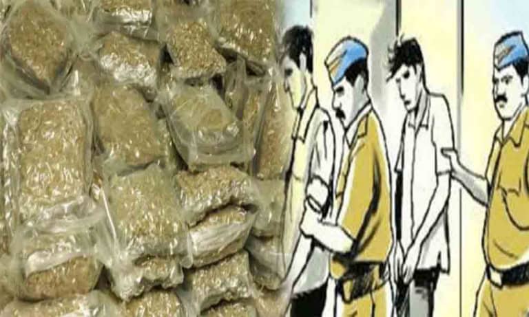 Two-People-Were-Arrested-With-Rs-1-24-Lakh-Of-Marijuana-In-Rajkot