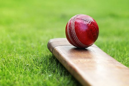 Cricket Bat And Ball Image