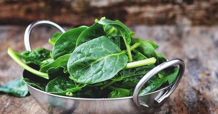 Growing Spinach How To Plant Grow And Harvest Delicious Spinach Fb
