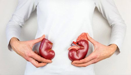 Protein Rich Diet Is It Harmful For People With Kidney Problems This Study Finds Out1
