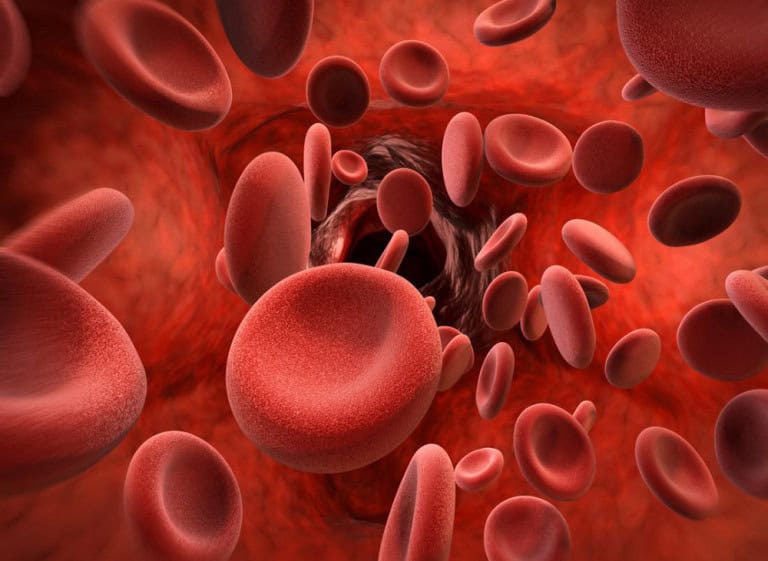 3D Image Of Blood Cells In Artery