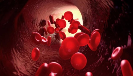 Blood Cells 1024X576