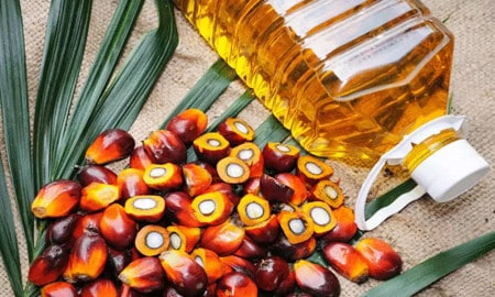 Edible Oil Industry Body Sea Urges Government To Allow Import Of Only Crude Palm Oil