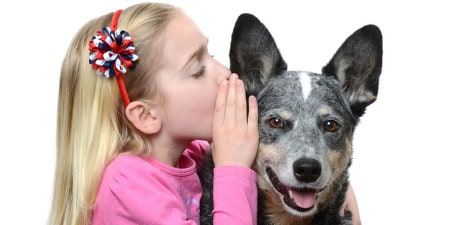 Brookfield Pet Whisperer Test
