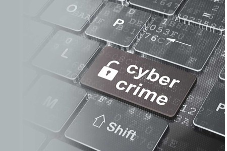 Cyber Crime 01