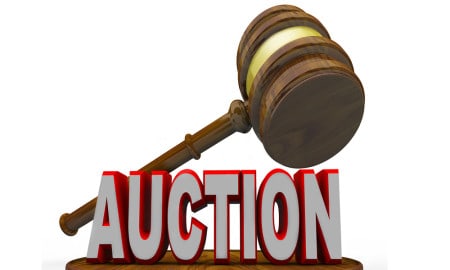 Auction In Goa 4052