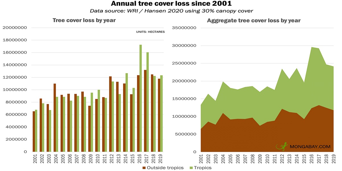 annual tree cover loss by region 2001 19