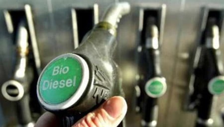 228017 272208 Biodiesel