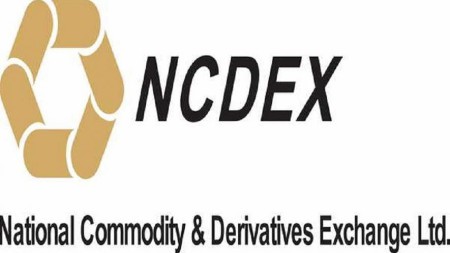 Ncdex Spot Market Price Get Mcx Ncdex Spot Price 1