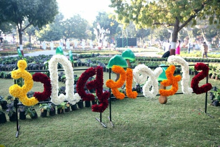 Rajkot Garden Flowershow