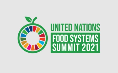 United Nations Food Systems Summit