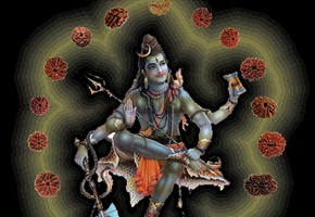 Shiva Rudraksh 22