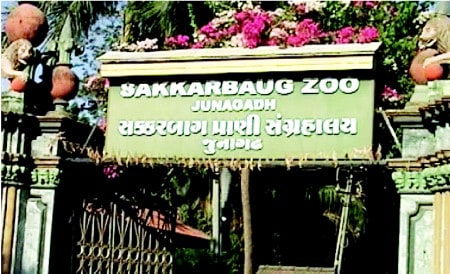 Junagadh Sakkarbaug Zoo