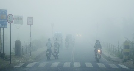 Fog Morning2