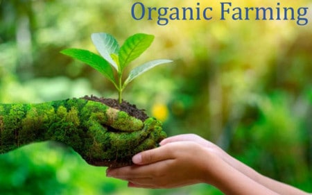 Organic Agri