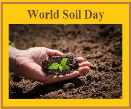 05 12 2020 World Soil Day 21135484