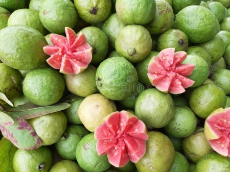Pink Guava Slice Isolated White Background Indian Gujarat Jamfal Fruit 180950938 1