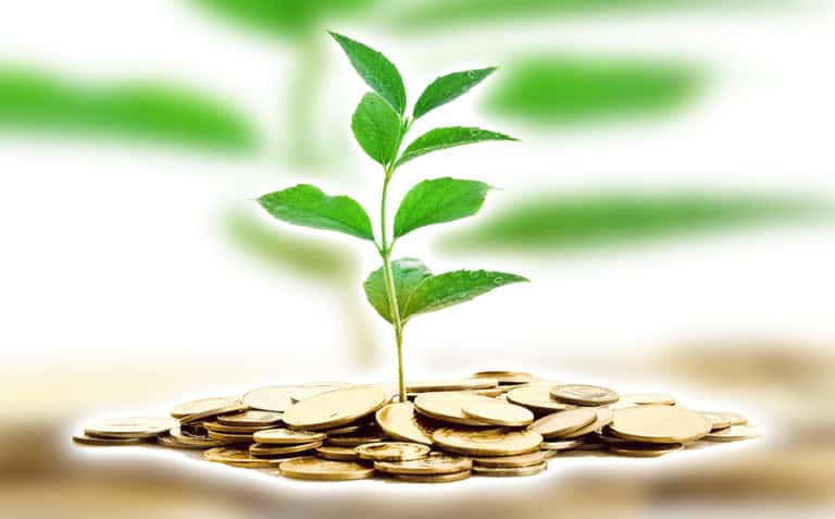 Money Plant Invest