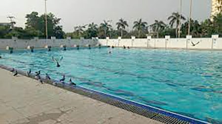 Rajkot Rmc Swimming Pool