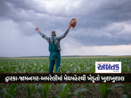 Farmers Happy With Meghmeher In Dwarka-Jamnagar-Amreli