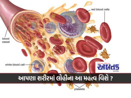 Do You Know About The Importance Of Blood In Our Body?
