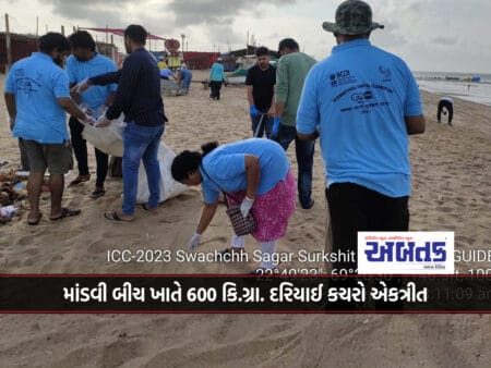 600 Kg In Cleaning Campaign At Mandvi Beach. Collecting Marine Debris