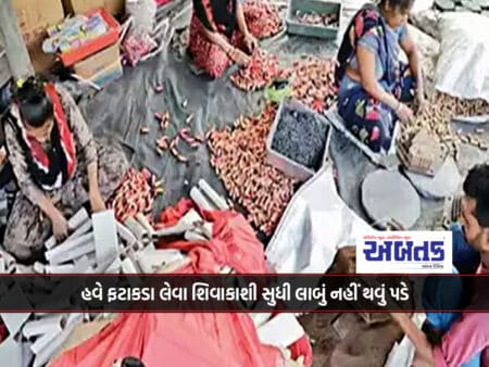 Now You Don't Have To Go Till Shivakashi To Get Firecrackers: Industry Developed In Padar, Ahmedabad