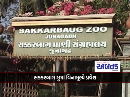 Free Entry To Sakkarbagh Zoo In Junagadh Till 8Th October