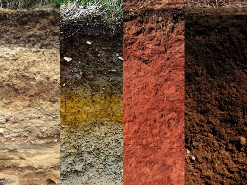 soil color1