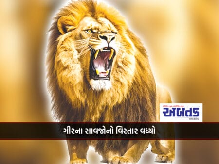 Area Of Gir's Vassals Increased: Established Dominance In 10 Districts!!!