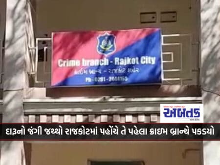 Crime Branch Caught A Huge Quantity Of Foreign Liquor Before It Reached Rajkot On The Occasion Of Diwali
