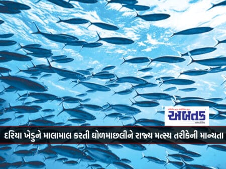 Recognizing The Gujarat That Enriches Gujarat's Marine Industry As A State Fishery