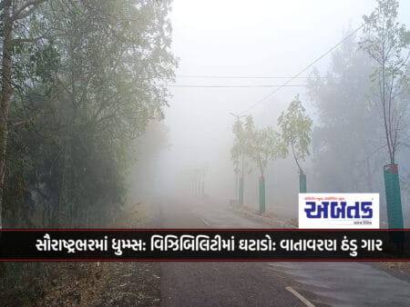 Fog Across Saurashtra: Visibility Reduced: Atmosphere Cool