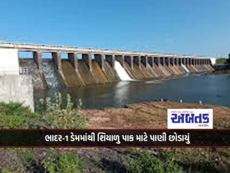 Water Released For Winter Crops From Bhadar-1 Dam: Benefit To Farmers Of 48 Villages