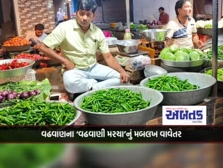 Mass Planting Of 'Vadhwani Chili' Of Vadhwan