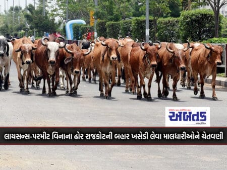 Warning To Herdsmen To Move Cattle Outside Rajkot Without License-Permit