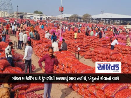 Gondal Marketing Yard Flooded With Onions, Prices Plummet, Farmer's Turn To Cry