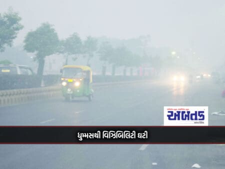 Fog Reduces Visibility: Nalia 10.8 Degrees While Rajkot 14.3 Degrees