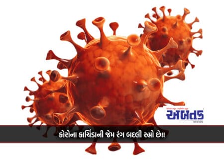 Despite Gujarat's Share Of 33% In The New Variant Of Corona, Hospitalization Is Negligible