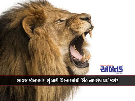 In Serious Danger? Will The Lion Be Extinct From The Dhari Area?