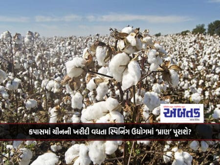 Will Chinese Purchases Of Cotton Provide 'Life' To Growing Spinning Industry?